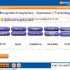 anaphylactic-shock4