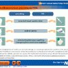 PGD and prescribing differences